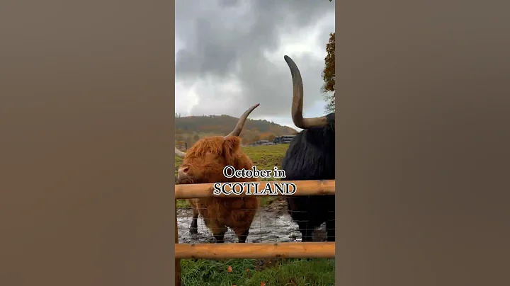 October in Scotland; The Perfect AUTUMN Destination 🍂