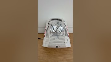 My System Sensor fire alarm strobe test