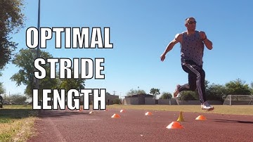 The Best Stride Length for Optimal Performance | Leg Length & Wicket Sprint Spacing