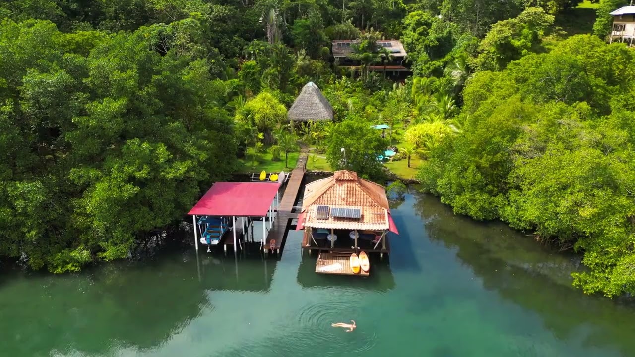 Dolphin Bay (Bocas del Toro)