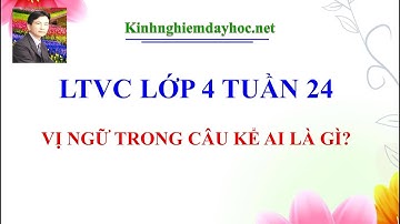 LTVC lớp 4 tuần 24: Vị ngữ trong câu kể ai là gì?