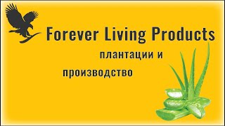 Плантации и производство Forever