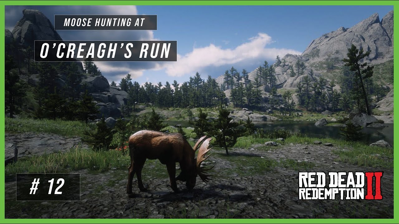 Oreaches Ranch Run Moose Hunting at O’Creagh’s Run! - YouTube