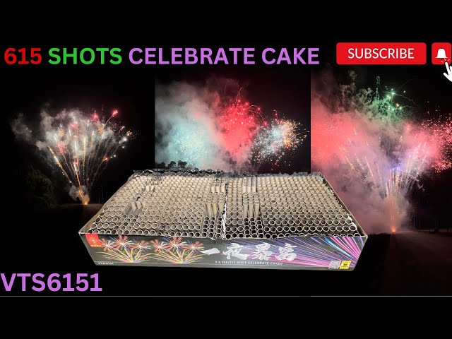 VTSF6151 615 Shots CELEBRATE CAKES FIREWORKS 2023 | 615发一夜暴富