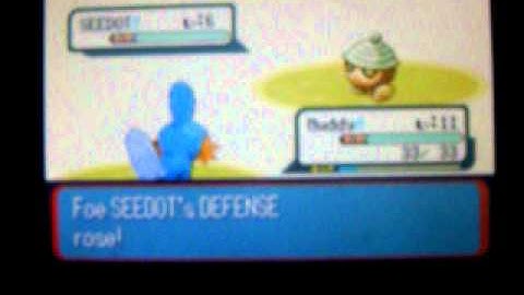 Pokemon Ruby Walkthough Part 3: Petalburg City