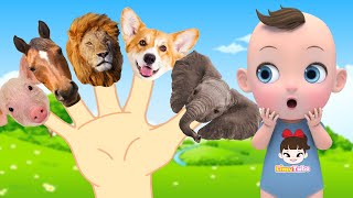 Animal Finger Family |  Johny Johny Yes Papa +more Nursery Rhymes | Kindergarten | LimeAndToys