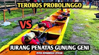 TEROBOS PROBOLINGGO VS JURANG PENATAS GUNUNG GENI KLS 60 kg TARIK TAMBANG GUNUNGGENI PROBOLINGGO 