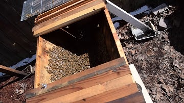 Top Bar Hive Install Part 2