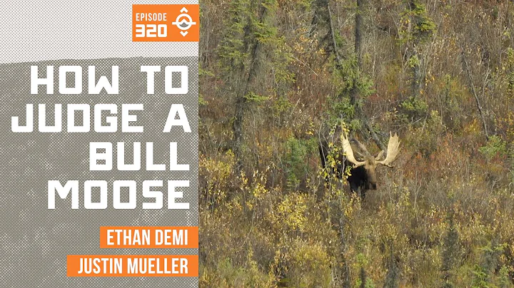 How to Judge A Bull Moose | EMW Podcast Clip - Ep 320
