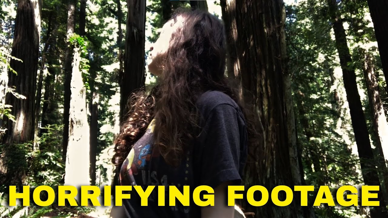 She Went Camping Alone… What Her Camera Recorded Is HORRIFYING!