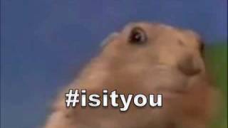 isityou dramatic chipmunk