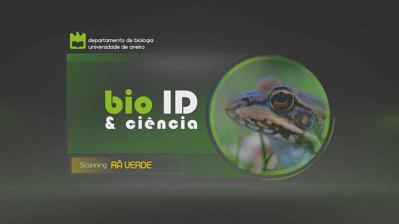 Bio id электромобиль