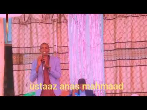 Muhaadaraa Daayfaras Ganda Noole Keessatti Ustaaz Anas Mahmmad 