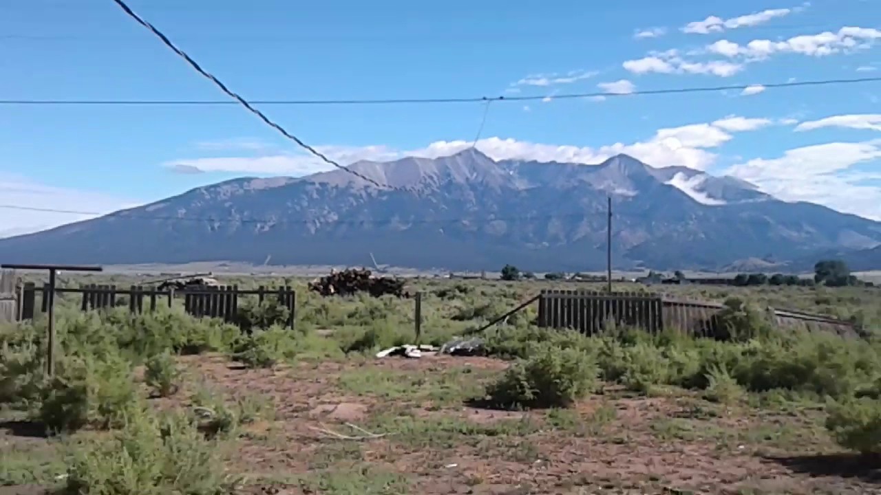 2017 med grow fem seeds from truenorth seed bank