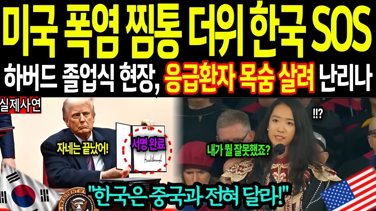해외감동사연 하버드 졸업식에 대표로 나선 중국인과 한국인의 졸업 연설이 끝난 후 180도 다른 반응 충격에 빠진 이유