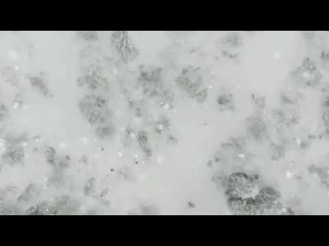 გუდაური, Gudauri, სეზონის გახსნა 2017წ.