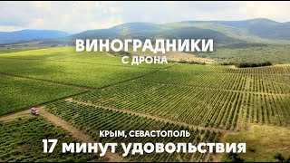 Виноградники Крыма и Севастополя с дрона в 4к | 17 минут удовольствия