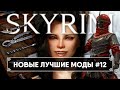 Skyrim новые горячие моды #12 🅒 Скайрим топ лучшие моды