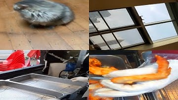 Mosaic Video by FFmpeg