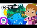 Curious Facts About Ecosystems! 🌍🐾 | Educational Videos for Children | @HappyLearningENG