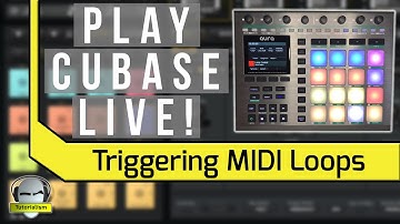 Cubase Live Performance Setup