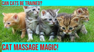 Teaching Your Cat to Respond to Touch Cues and Massage by Purrfect Paws 151 views 2 months ago 3 minutes, 59 seconds