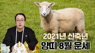 [백련사]신축년 양력 8월 양띠 운세!!