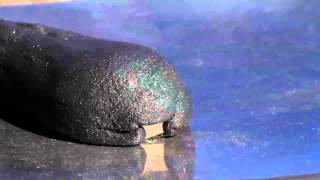 Magnetic Putty Time Lapse