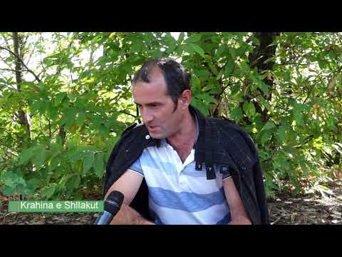 Video: Forcimi I Bimëve. Pjesa 1