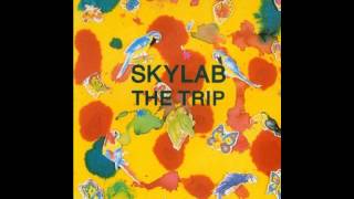 Skylab - The Trip #1 (Andmoreagain)