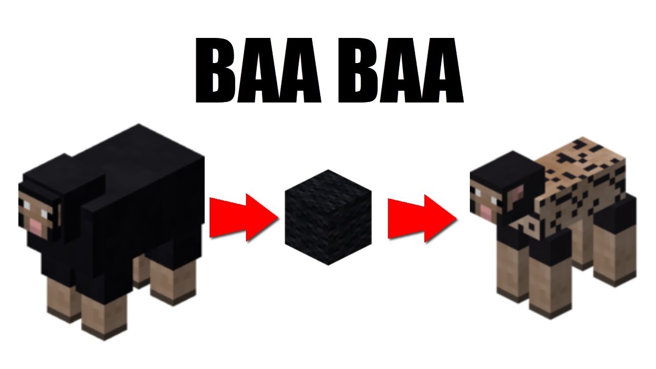 Minecraft Black Sheep sings Baa Baa Black Sheep - YouTube