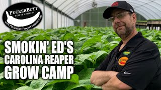 Smokin' Ed's Reaper Grow Camp | How To Grow Carolina Reapers