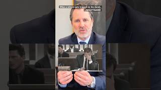 When a witness gets trapped on the stand… Lawyer’s worst nightmare! Breakdown of Cohen’s testimony