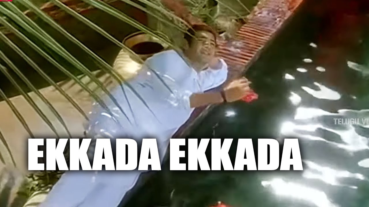 Ekkada Ekkada Mahesh Babu Sonali Bendre Evergreen Movie Song  Telugu Videos