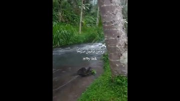 ﴿ وَإِنِّي لَغَفَّارٌ لِّمَن تَابَ وَآمَنَ وَعَمِلَ صَالِحًا ثُمَّ﴾[ طه:82] القارئ:عمر ضياء الدين