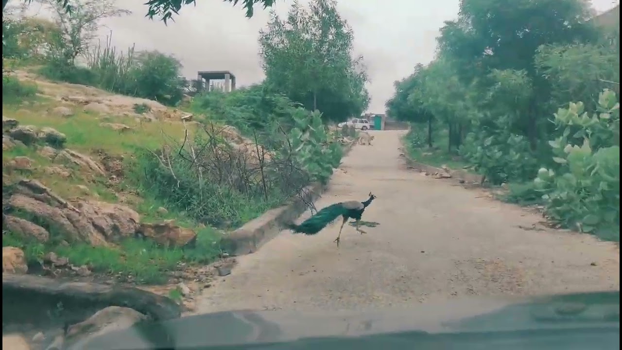 Karoonjhar Mountain Range, Sindh