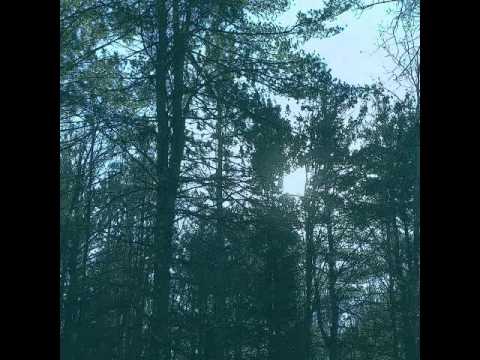 Ashbringer — Ashbringer - Vacant (Full Album)
