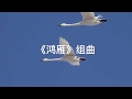 1个小时最好听的草原歌曲《鸿雁组曲》集锦（歌曲、马头琴、小提琴、大提琴、协奏曲等）富春江南-5