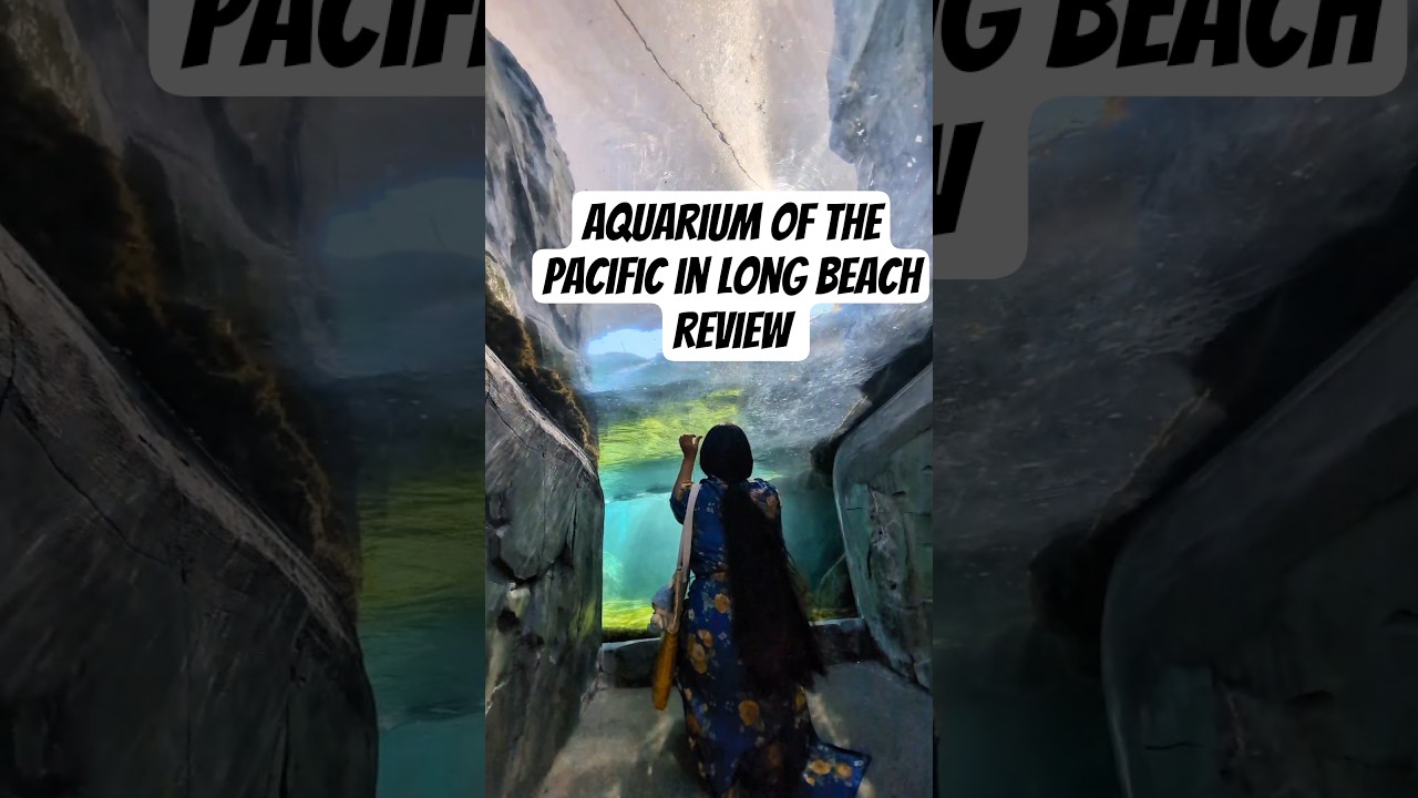 Вы не поверите, что внутри этого аквариума! 