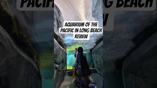 You Won't Believe What's Inside This Aquarium! #aquariumofthepacific