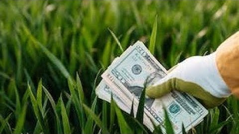 Welcome to the New Learn app of TRX Learning