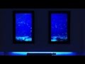 My TV Wall - Ocean Voyager Aquarium