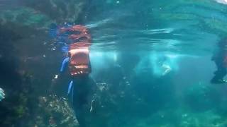 20180729 龍洞浮潛 VR  by Omi Cam