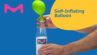 Self-Inflating Balloon at Home STEM Experiment