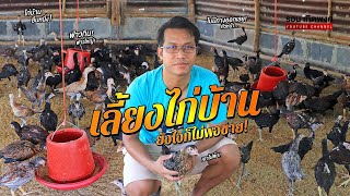 ไก่บ้าน เลี้ยงยังไงก็ไม่พอขาย จับขายทีละ 1,000 ตัว | มองโลกกลับหัว Ep.50