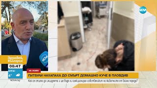 видео: Питбули нахапаха до смърт домашно куче в Пловдив - Здравей, България (20.11.2023) картинка: Питбули нахапаха до смърт домашно куче в Пловдив - Здравей, България (20.11.2023)