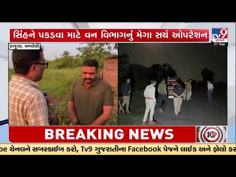 Lion Attacks Forest Team During Rescue Operation in Amreli | Drone Search Operation Underway | TV9