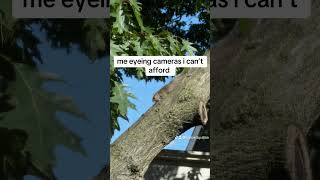 I want camera