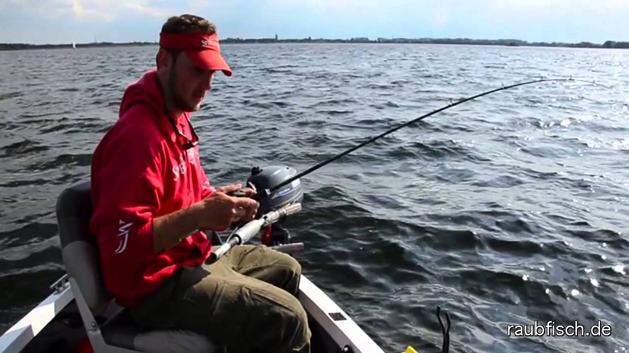 Große Kunstköder für Zander