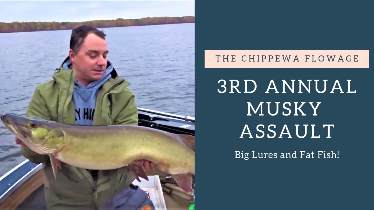 Fall Musky Fishing on the Chippewa Flowage YouTube